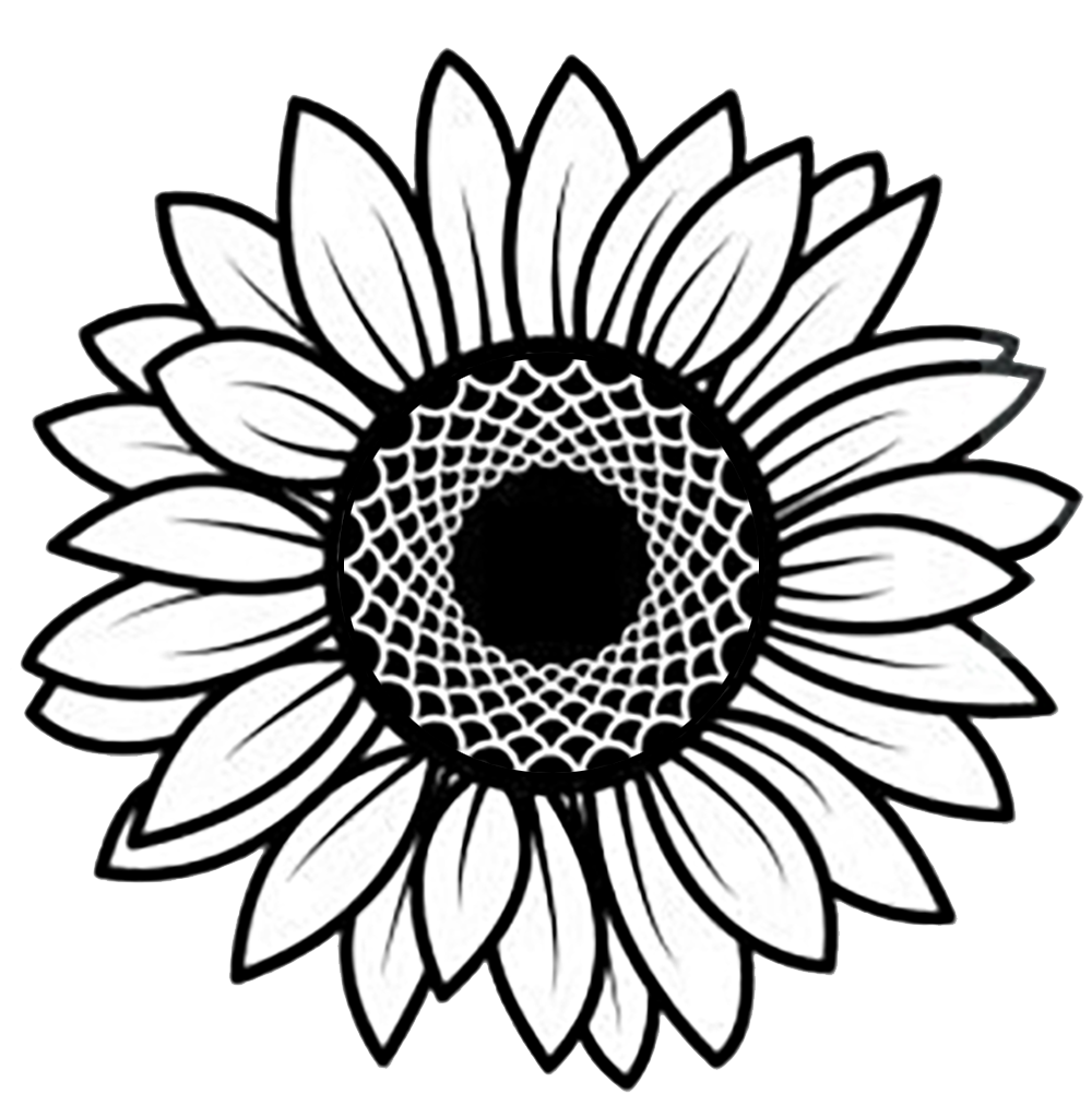 sunflower sunflower